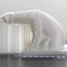 Picture of print of Polar Bear