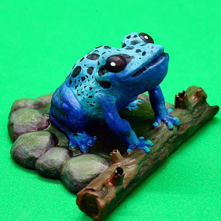 Poison Frog image