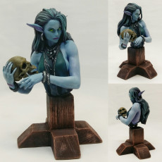Picture of print of Laedria the Necromancer bust pre-supported