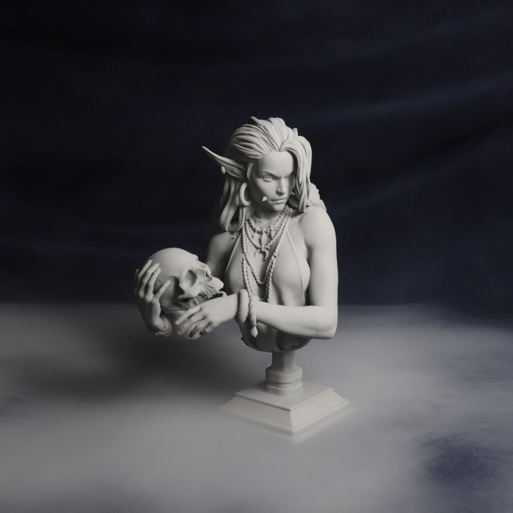 Laedria the Necromancer bust pre-supported image