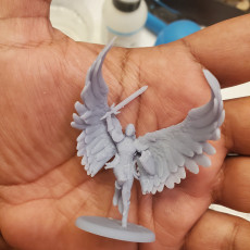 Picture of print of Angelic Paladin