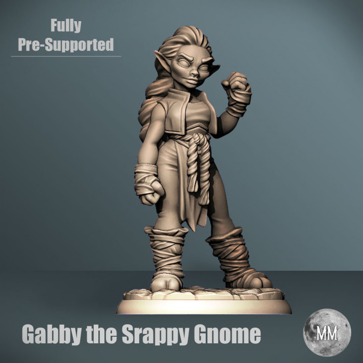 Gnome - Gabby the Scrappy Gnome Monk image