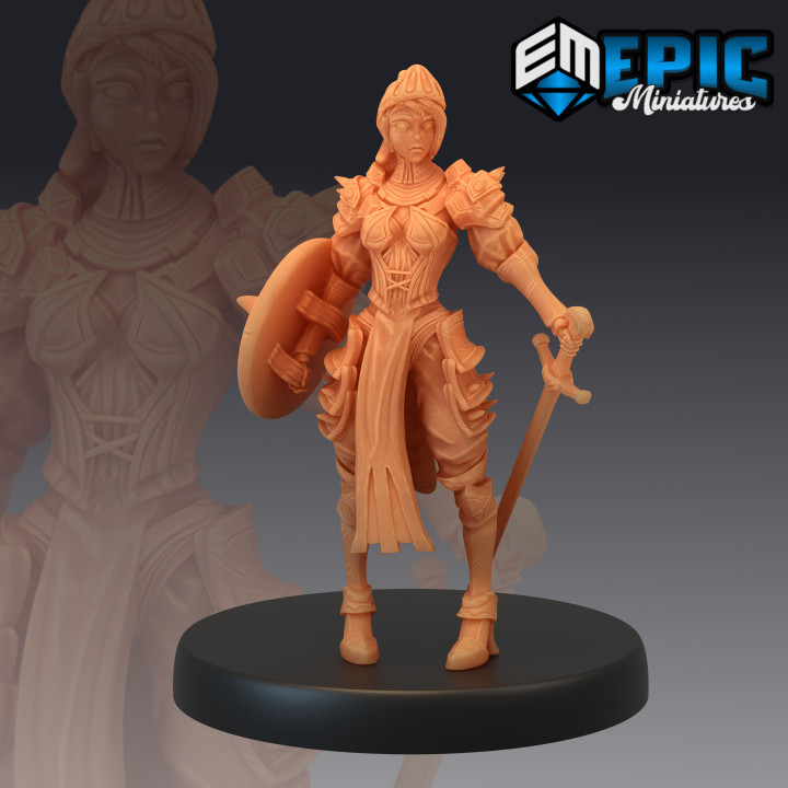 Queens Knight Set / Female Warrior / Royal Guard Collection image