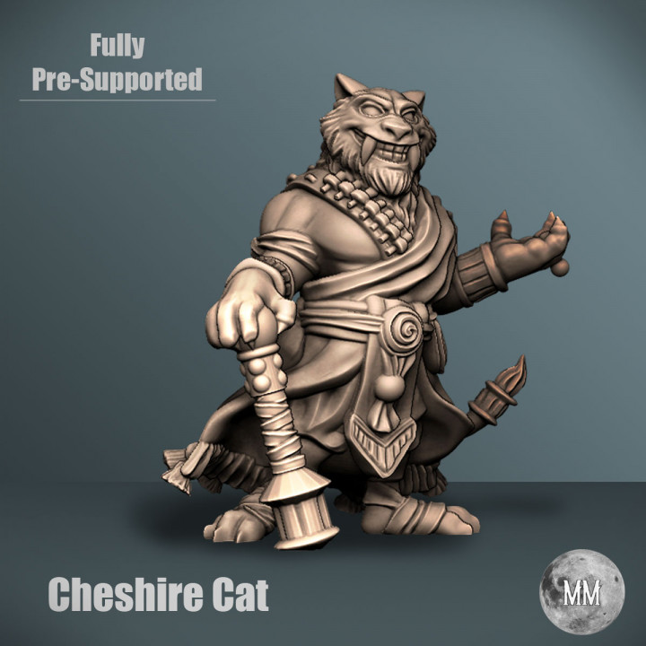Tabaxi - Cheshire Cat as a Tabaxi (part of a future Tabaxi set) image