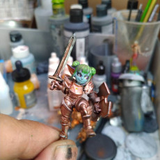 Picture of print of Pint, the Goblin/Gnome paladin
