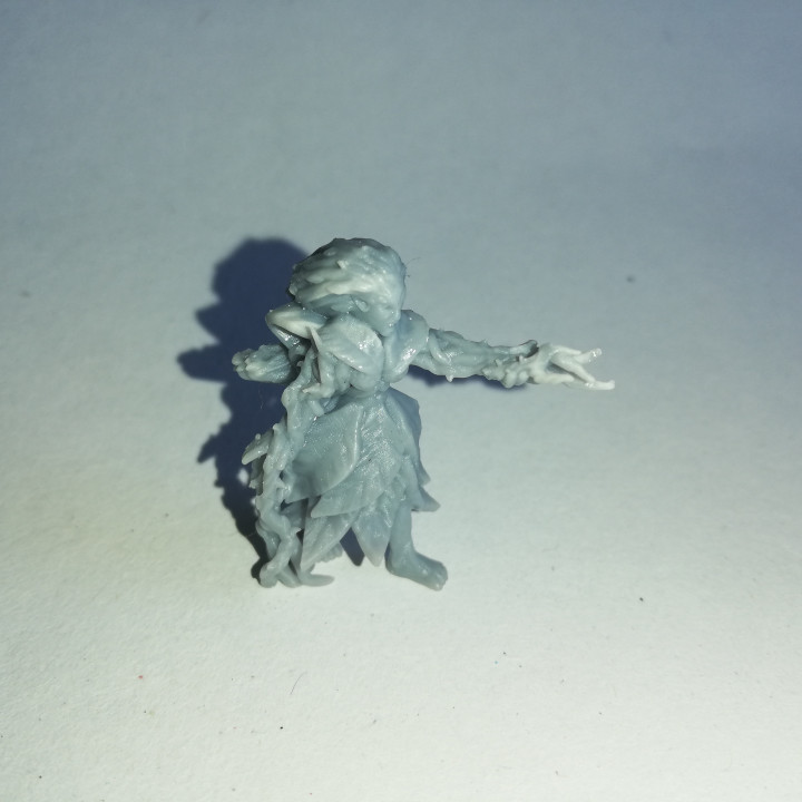 The Forest Witch miniature (28mm) image