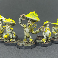 Picture of print of Shroomfolk Bundle, 20 minis - PRE-SUPPORTED