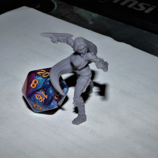 Picture of print of Ako - Female Monk - 32mm - DnD