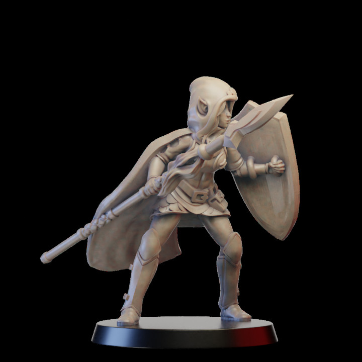 Elf warrior with spear and sheld image