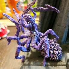 Picture of print of crystal drider queen