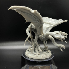 Picture of print of Draco Hydra