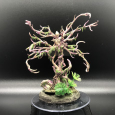 Picture of print of Dryad Guardian