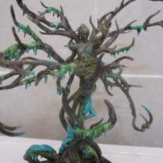 Picture of print of Dryad Guardian