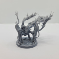 Picture of print of Mutated Cursed Splinter
