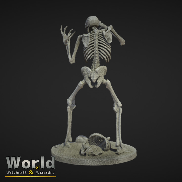 Skeleton - World of Witchcraft & Wizardry