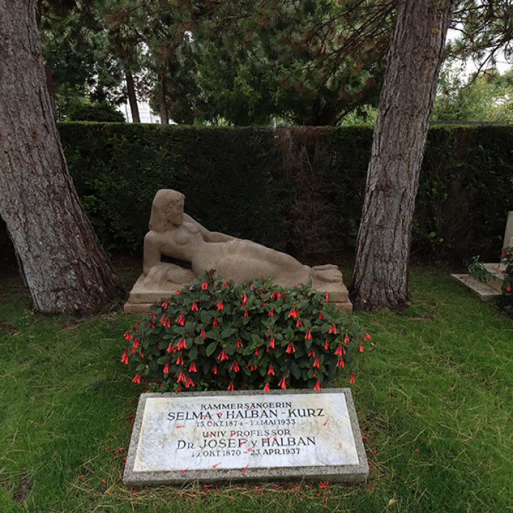 Grave of honour for Selma Halban-Kurz image