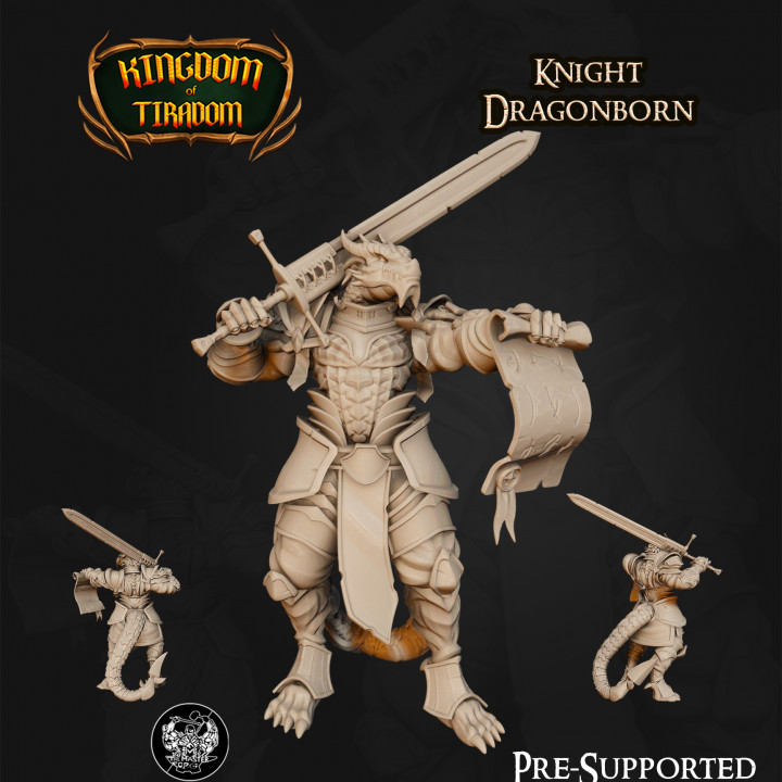 Dragonborn Knight image
