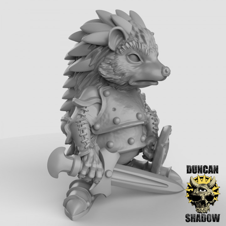 Hedgehog Warriors (pre supported) image