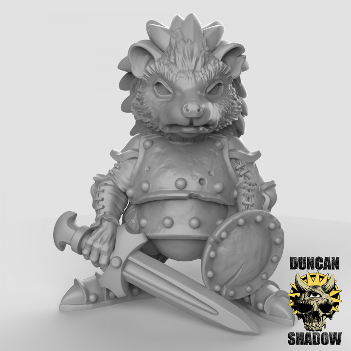 Hedgehog Warriors (pre supported) image