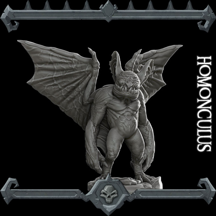 Homonculus image