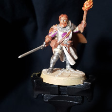 Picture of print of Cursed Sands Crusader