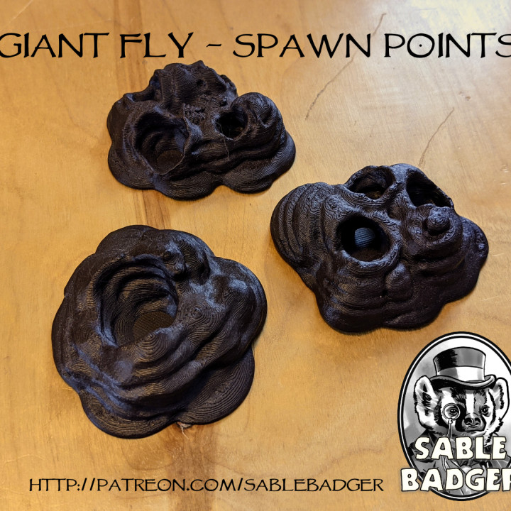 Spawn Point - Giant Flies image