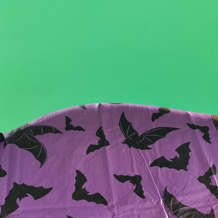 SYE - Green Screen Stand image