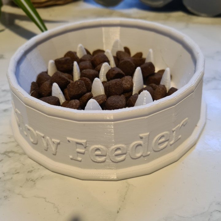 Slow Feeder Dog or Cat Food Bowl (Anti Choking Bowl) (No supports) image