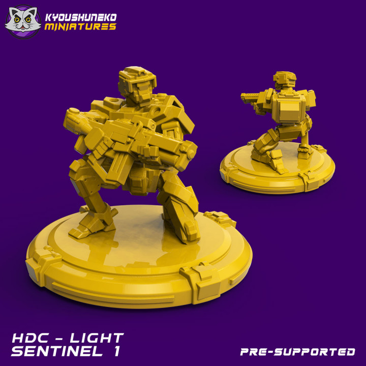 HDC Light Sentinel 1 image