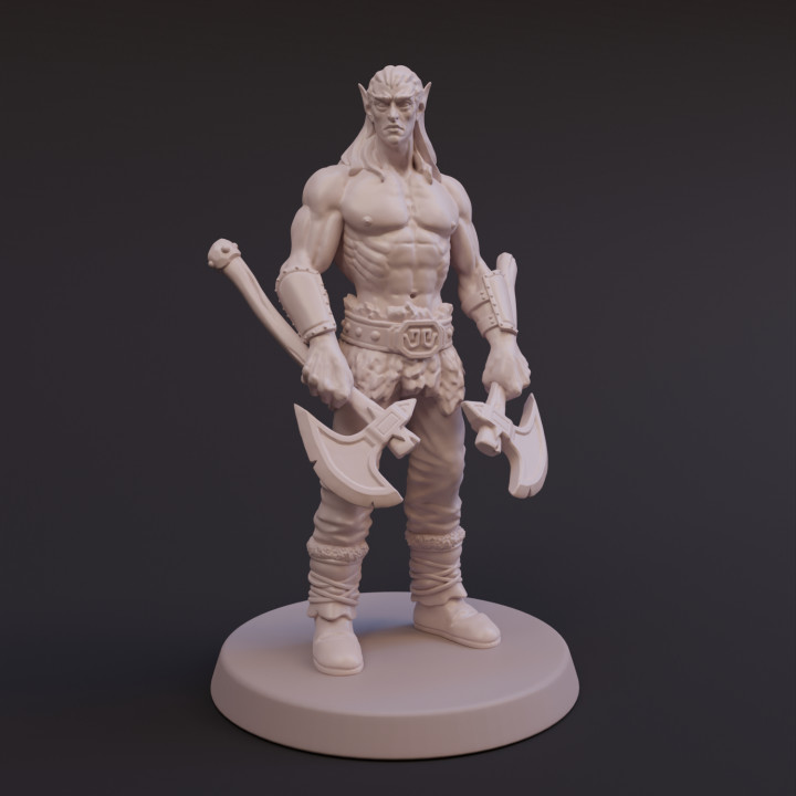 Elf Barbarian - Tabletop Miniature - DnD image