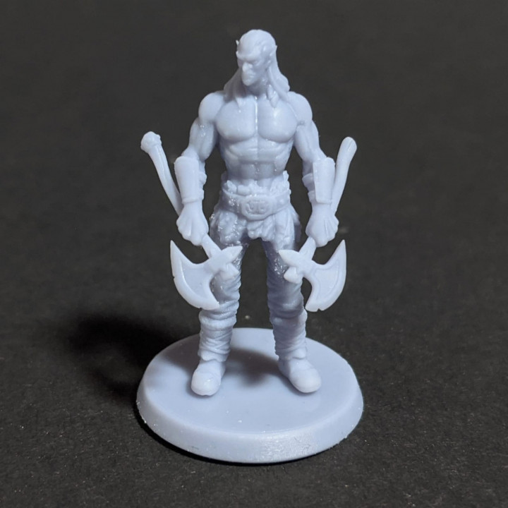 Elf Barbarian - Tabletop Miniature - DnD image