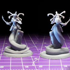 Picture of print of Medusa Elite Sword Pose 2