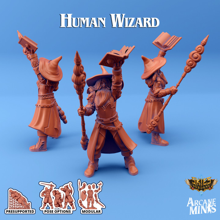 Human Wizard - Artificer Guilds image
