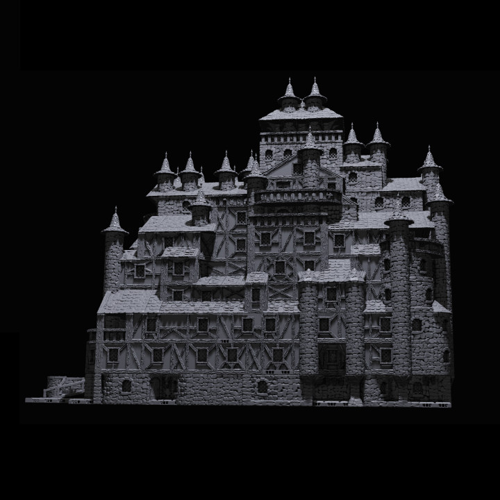 The Castle image