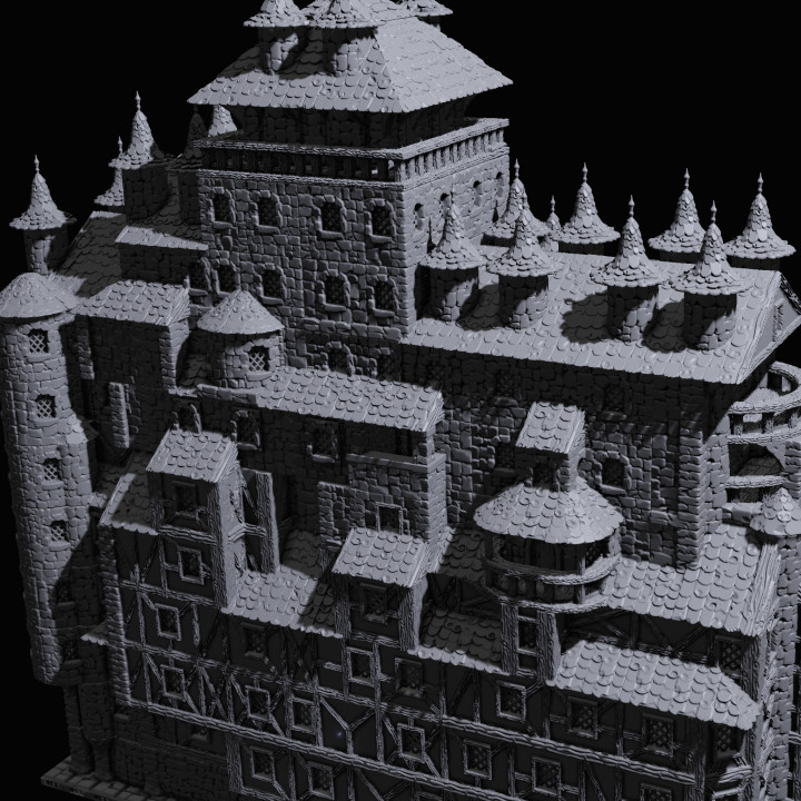 The Castle image