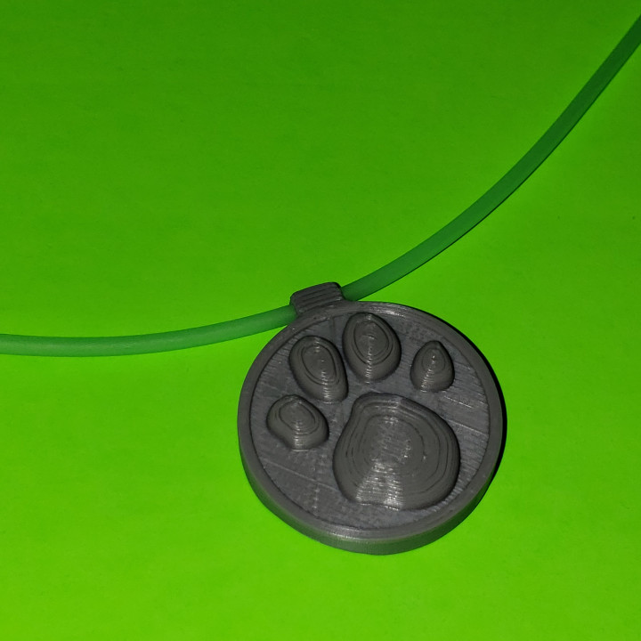 Blues Clues Coin/Necklace image