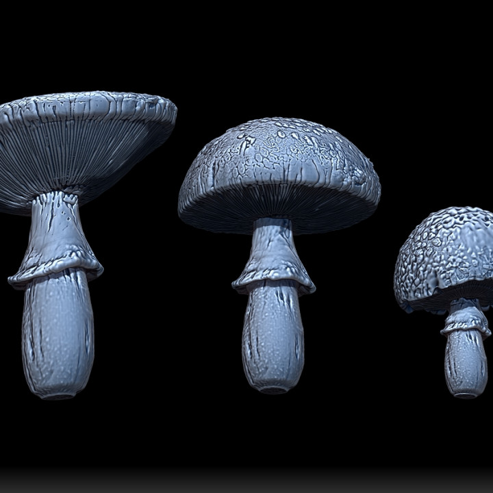 Mini Mushrooms - Amanita, Chanterelle, and Cremini image