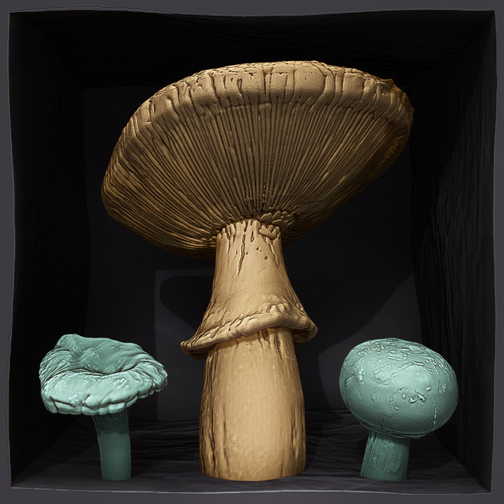Mini Mushrooms - Amanita, Chanterelle, and Cremini image