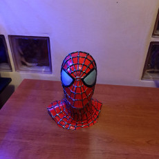 Picture of print of Spider-Man Multicolour Remix