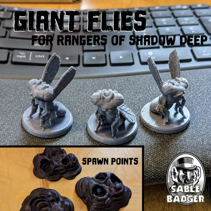 Rangers of Shadow Deep - Giant Fly Minis and Spawn Points image