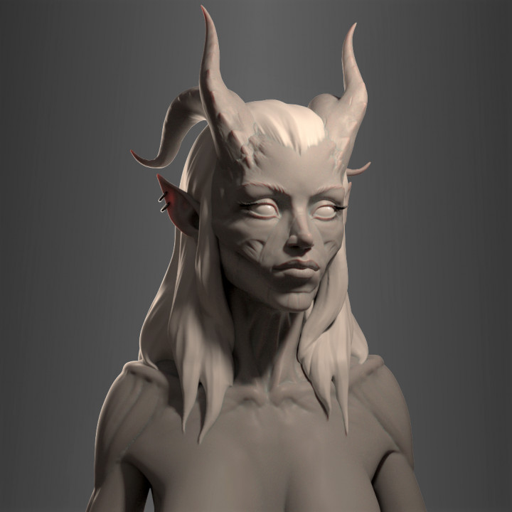 3D Printable Demon Princess - Collectible Bust (Pre-Supported) by Fynn ...