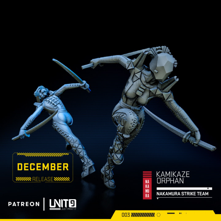 Cyberpunk models BUNDLE - Nakamura Strike Team (December release) image