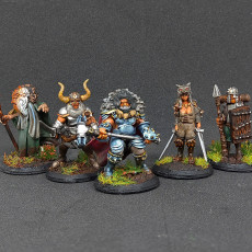 Picture of print of Fantasy Series 08 Bundle, 5x minis - PRE-SUPPORTED