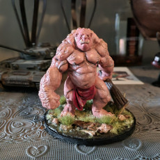 Picture of print of Stone Troll (pre-supported)