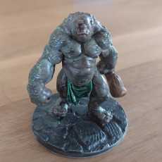 Picture of print of Stone Troll (pre-supported)