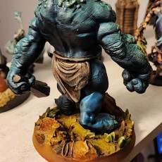 Picture of print of Stone Troll (pre-supported)