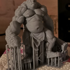 Picture of print of Stone Troll (pre-supported)