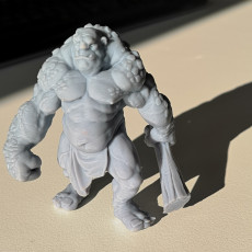 Picture of print of Stone Troll (pre-supported)