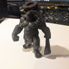 Picture of print of Stone Troll (pre-supported)