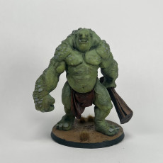 Picture of print of Stone Troll (pre-supported)